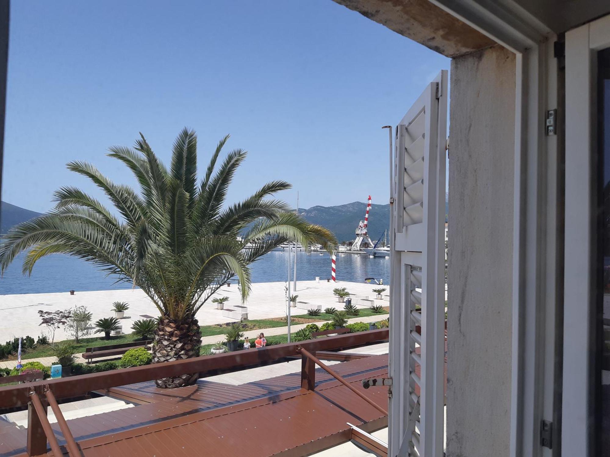Mulo Stanicica Tivat Oda fotoğraf